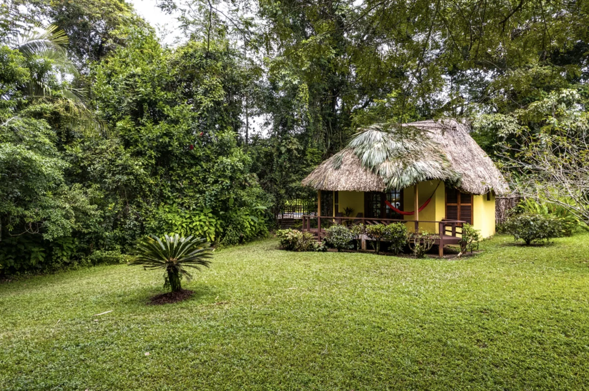 01-THATCHED