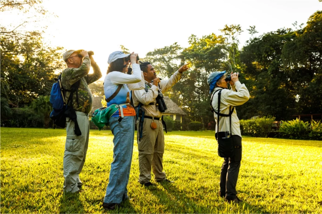 Birdwatching in Belize