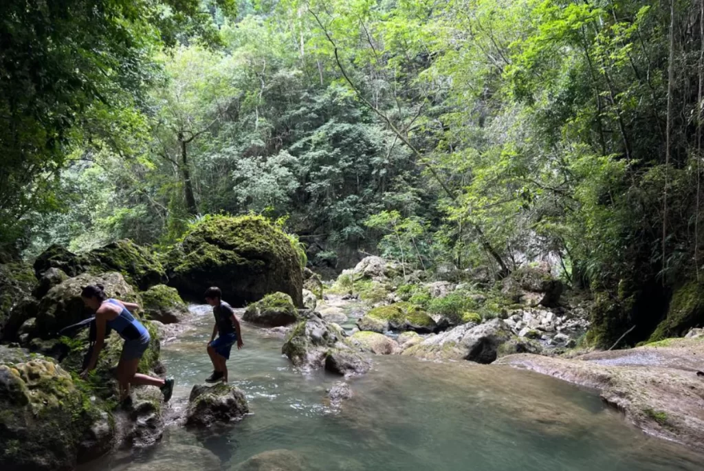 Hikers exploring a rocky jungle riverbed surrounded by dense rainforest during an outdoor adventure.