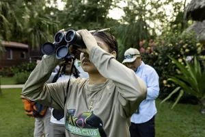 Early morning bird watching in the Toledo District rainforest, Southern Belize with a naturalist guide
