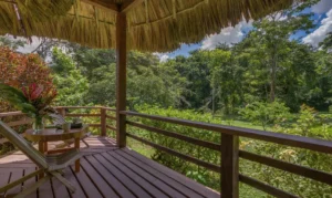 Traditional Maya stone metate and cacao at Tanager Rainforest Lodge