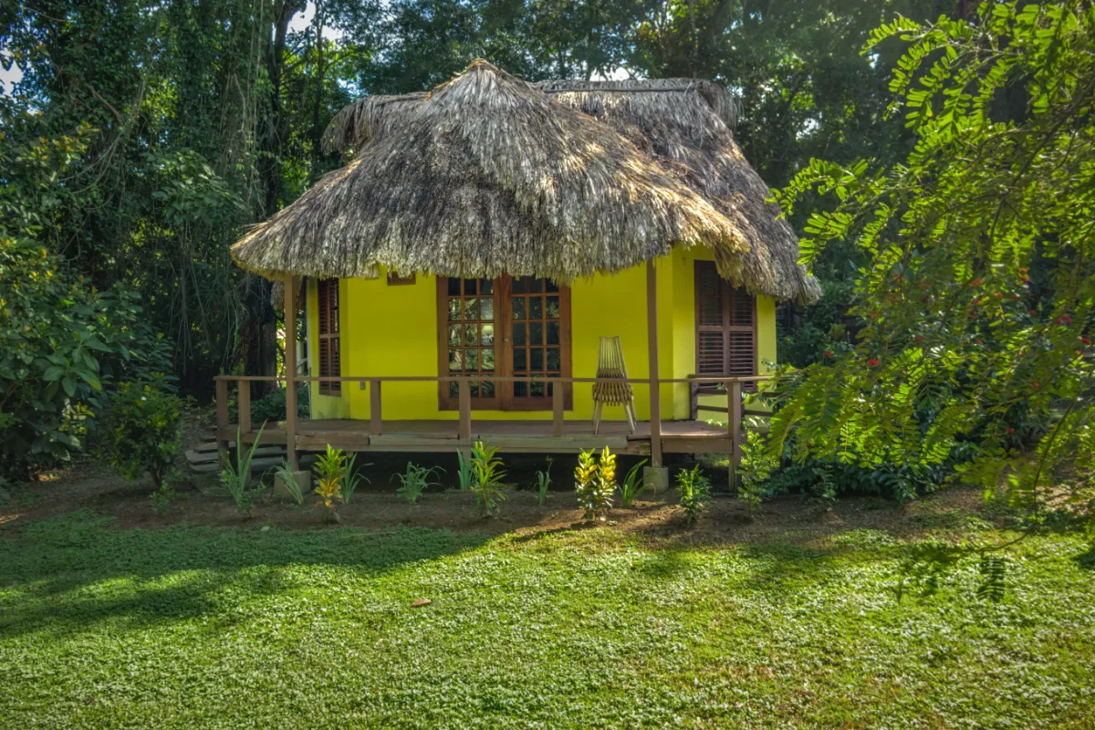 thatchedcabanas1