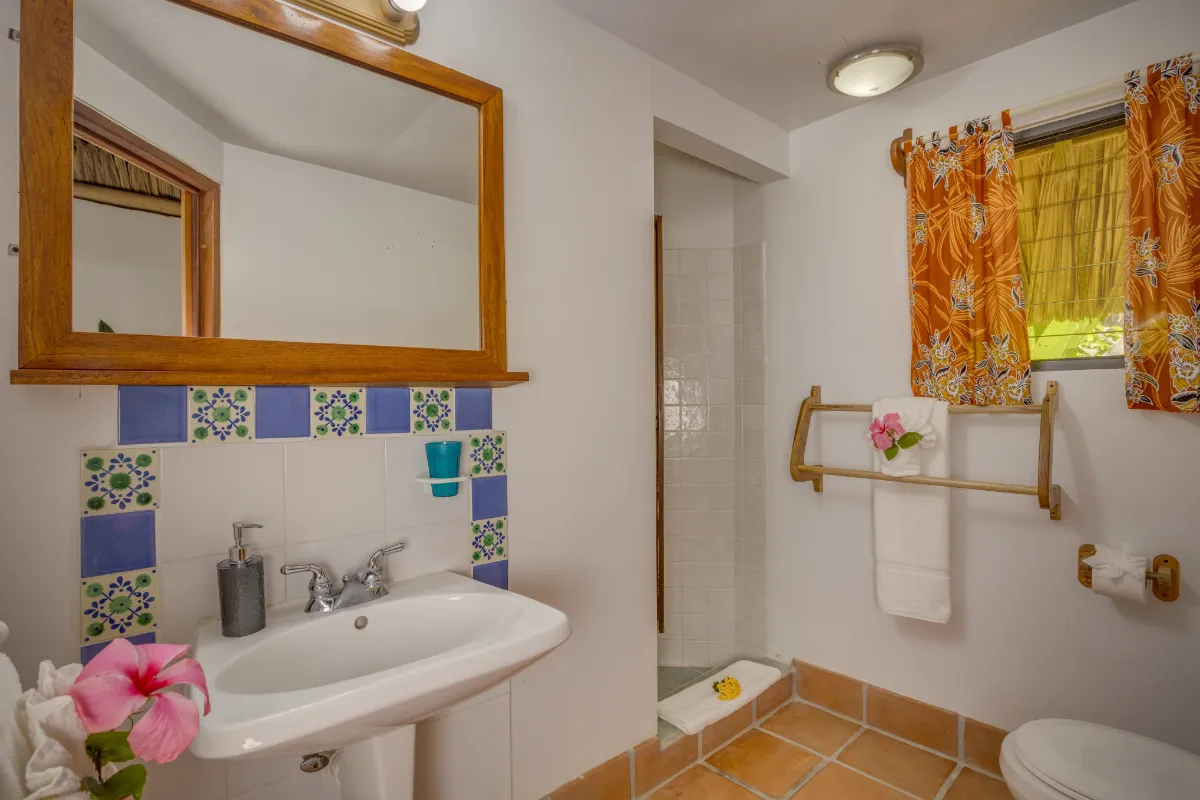 thatchedcabanas11