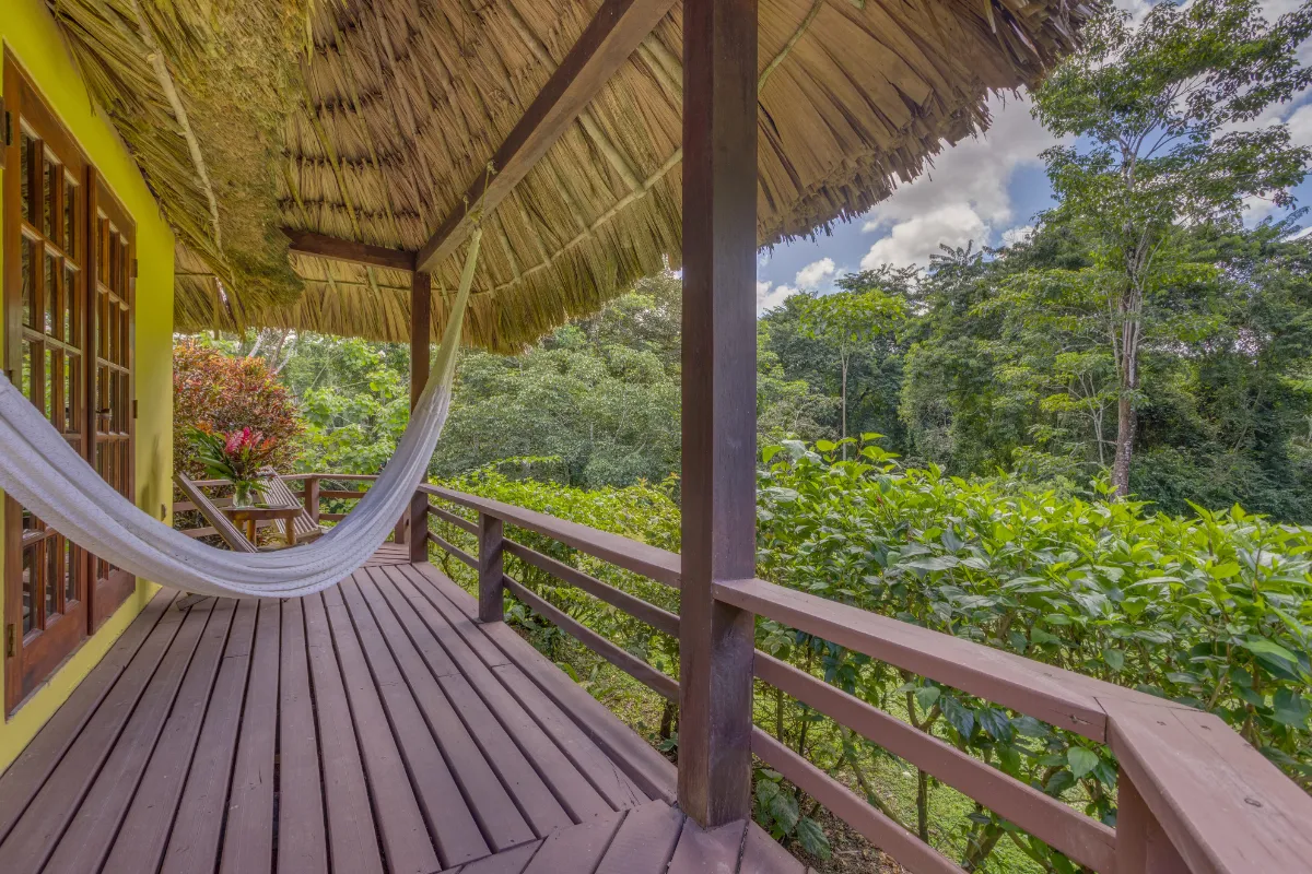 thatchedcabanas12