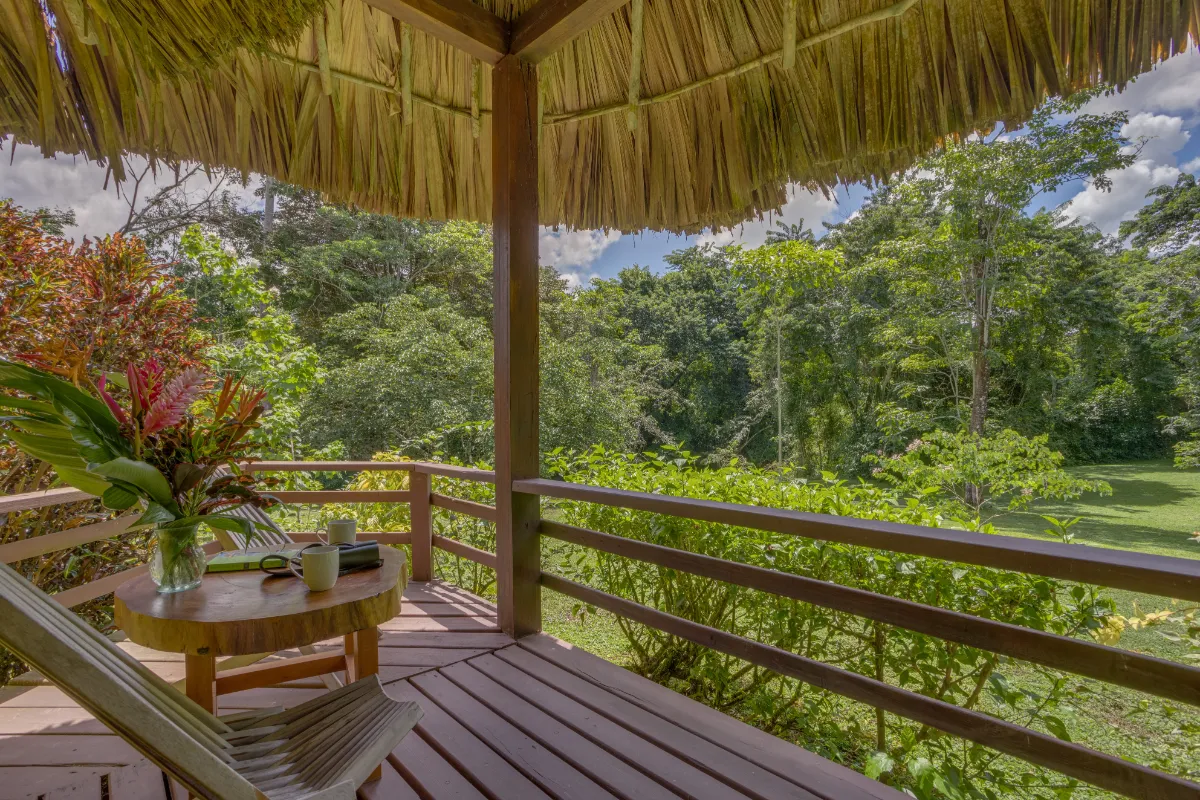 thatchedcabanas13