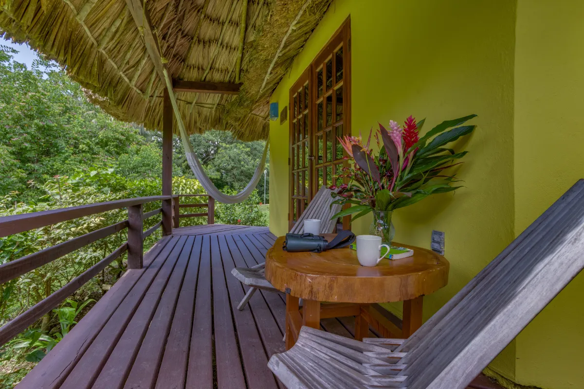thatchedcabanas14