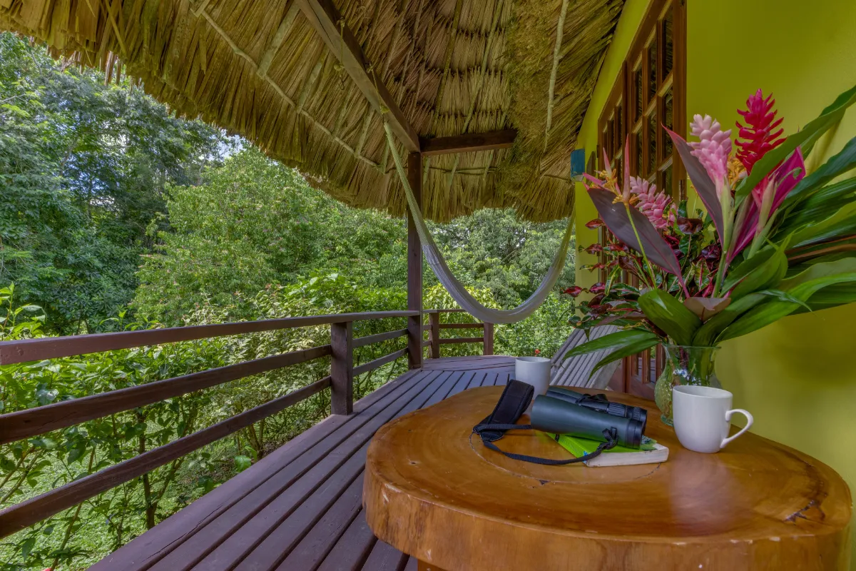 thatchedcabanas15