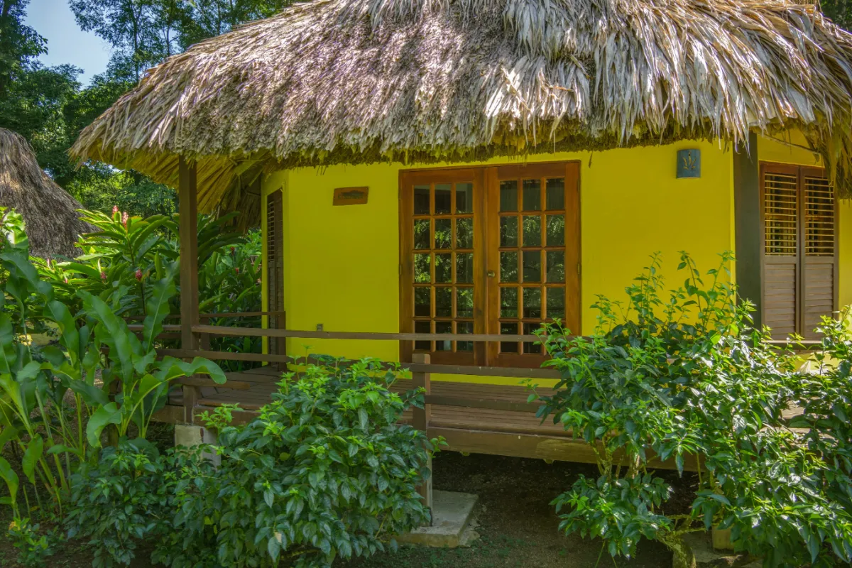 thatchedcabanas2