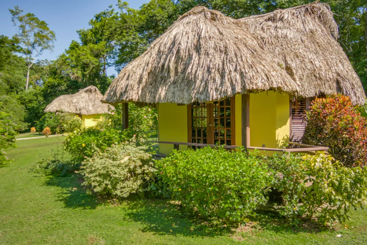 thatchedcabanas3