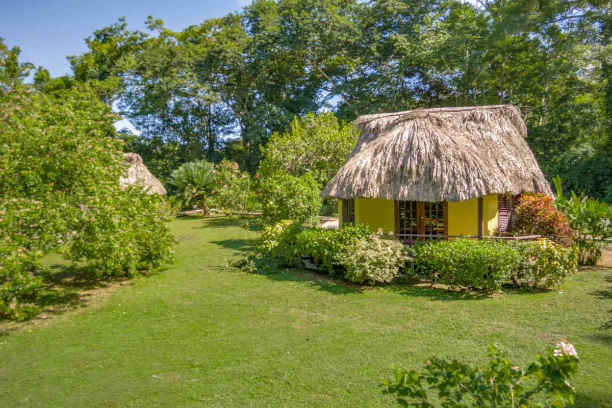 thatchedcabanas4