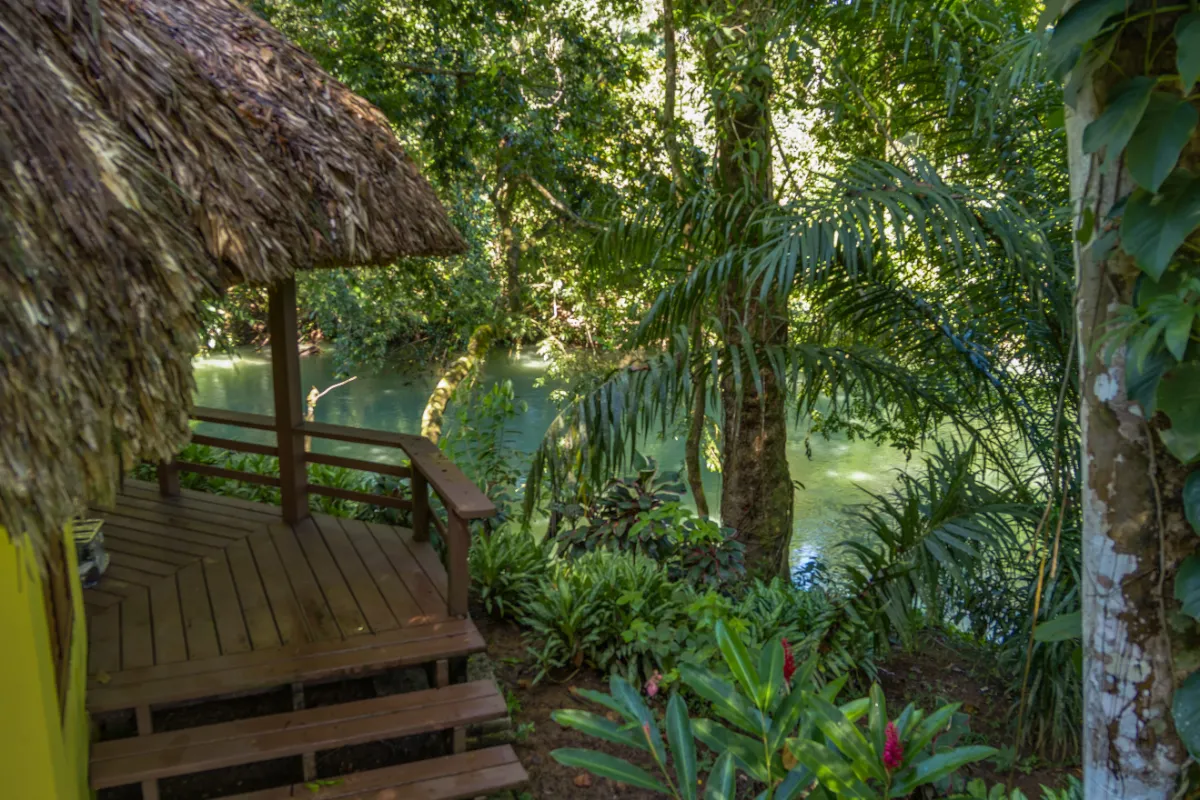 thatchedcabanas5